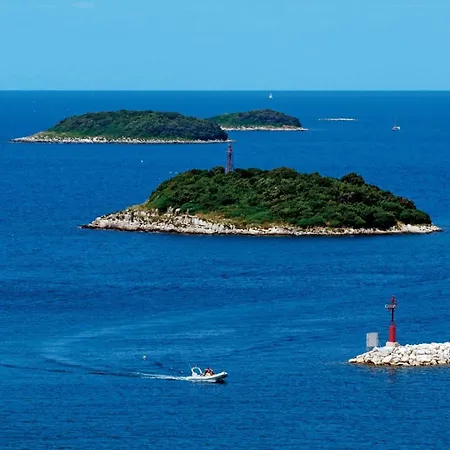 Casa Anamaria Private Pool Near Vakantiehuis Vrsar